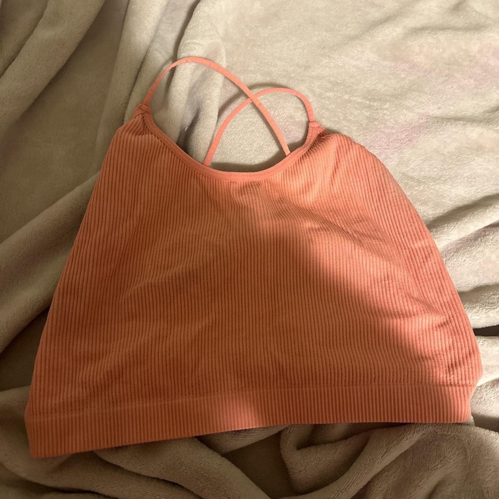 wild fables pink crop top